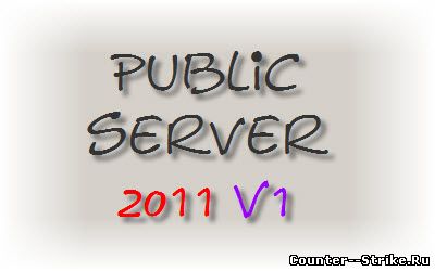 Public 2011 v1